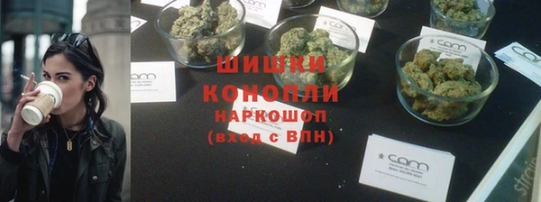 mix Ельня