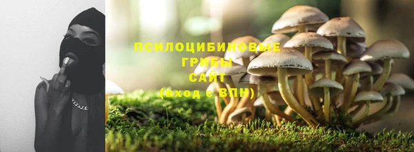 кокс Елизово