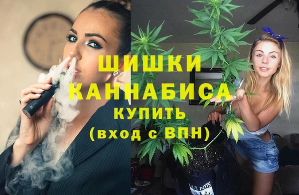 кокс Елизово