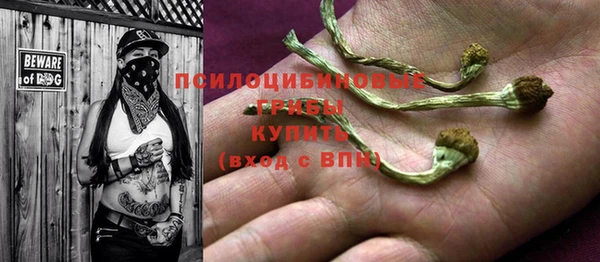 кокс Елизово