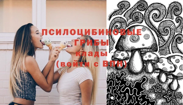 кокс Елизово