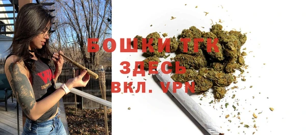 mix Ельня