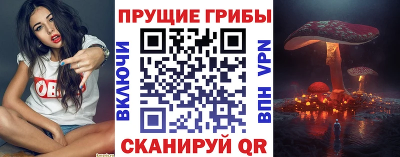 Купить закладки  Кораблино  Псилоцибиновые грибы мухоморы 